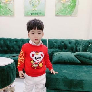 Hàng Tết Đẹp Áo Nỉ Lót Lông Cho Bé Từ 8-20kg Vải Cao Cấp Hình Chuột Vàng Thêu