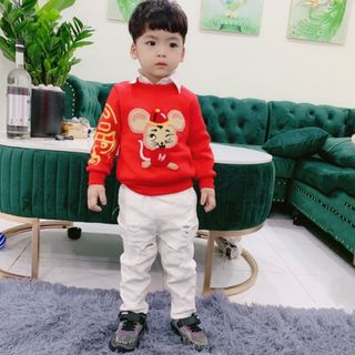 Hàng Tết Đẹp Áo Nỉ Lót Lông Cho Bé Từ 8-20kg Vải Cao Cấp Hình Chuột Vàng Thêu