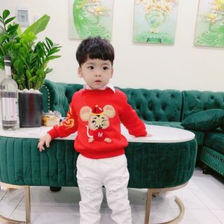 Hàng Tết Đẹp Áo Nỉ Lót Lông Cho Bé Từ 8-20kg Vải Cao Cấp Hình Chuột Vàng Thêu