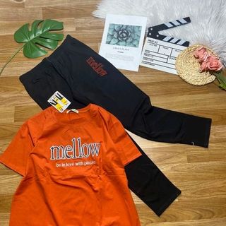 bộ coton thái H5
