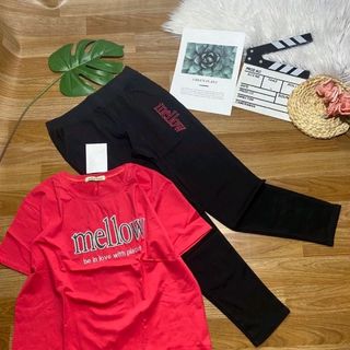 bộ coton thái H5