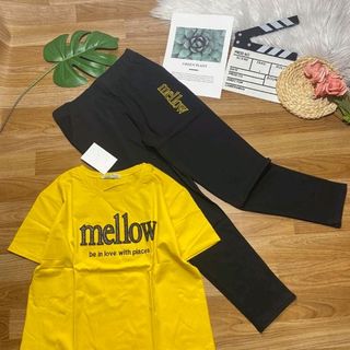 bộ coton thái H5