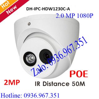 Camera IP Dahua DH-IPC-1230C-A giá sỉ​ giá bán buôn giá sỉ