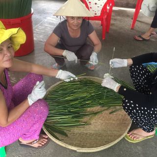 Ống Hút Cỏ 10 Ống - Thân Thiện Môi Trường