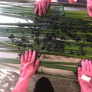 Ống Hút Cỏ 10 Ống - Thân Thiện Môi Trường