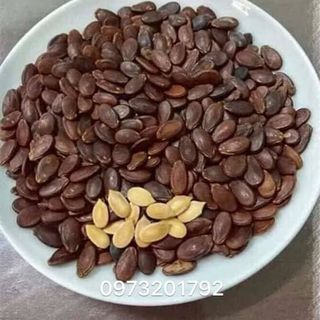 HẠT DƯA HÙNG KÝ