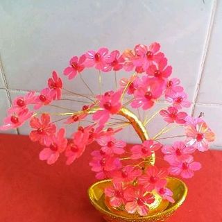 Hoa Đào đuôi công