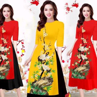 set áo dài kèm váy lụa nhập