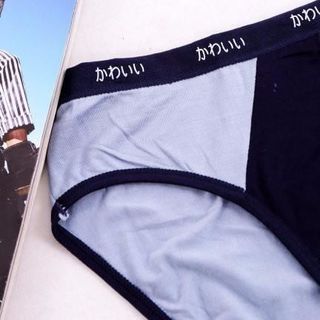 Bán Sỉ Quần Sịp Nam Nhật Cao Cấp Túi Bạc - Bỏ Sỉ Quần Sịp Túi Bạc