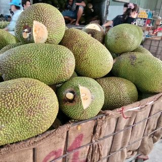 Mít Thái Da Xanh cơm ngọt vàng ngon