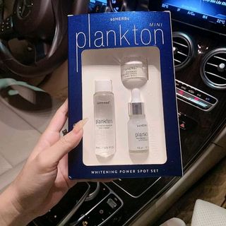 COMBO PLANKTON MINI giá sỉ