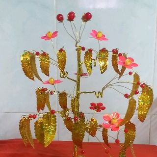 cây Kim tiền cành vàng lá ngọc