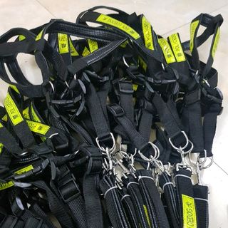 Dây dắt kèm yếm có tag