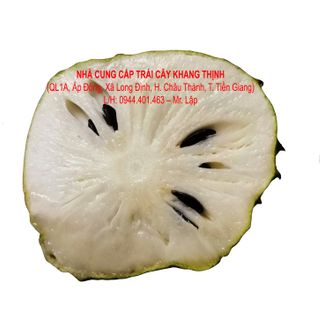 Cung cấp Mãng cầu xiêm