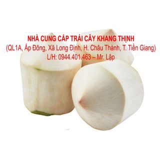 Cung cấp Dừa gọt kim cương/ gọt trọc xuất khầu giá sỉ