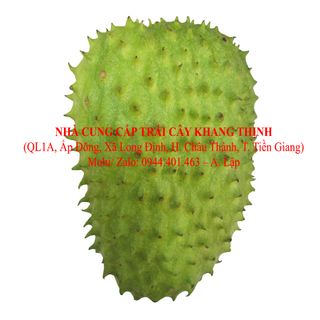 Cung cấp Mãng cầu xiêm