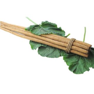 Củ Ngưu bàng khô