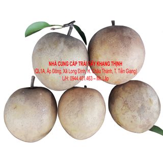 Cung cấp sỉ Sapô Hồng xiêm Mêhico - xuất xứ Tiền Giang