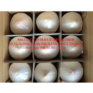 Cung cấp Dừa gọt kim cương/ gọt trọc xuất khầu