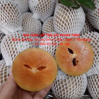 Cung cấp sỉ Sapô Hồng xiêm - Vĩnh Kim Tiền Giang