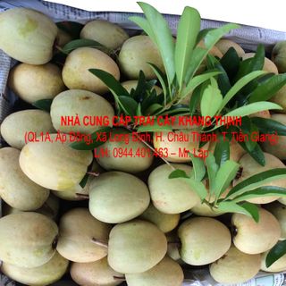 Cung cấp sỉ Sapô Hồng xiêm - Vĩnh Kim Tiền Giang