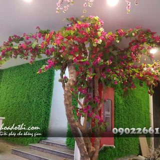 Cây hoa giấy giả