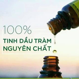 DẦU TRÀM HOA NÚI giá sỉ