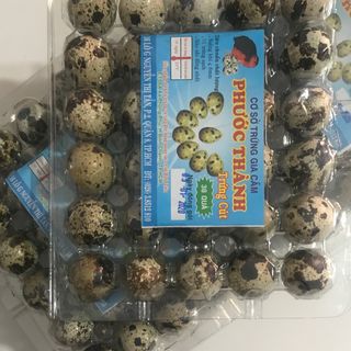 TRỨNG CÚT VĨ