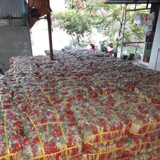 Găng tay bảo hộ