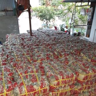 Găng tay bảo hộ