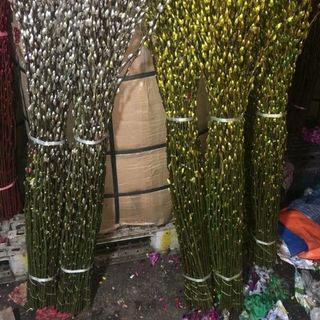 Nụ Tầm Xuân Gói 100 cây