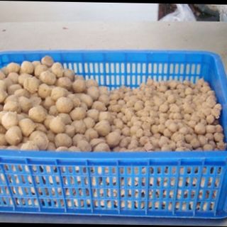 Bò viên đông lạnh