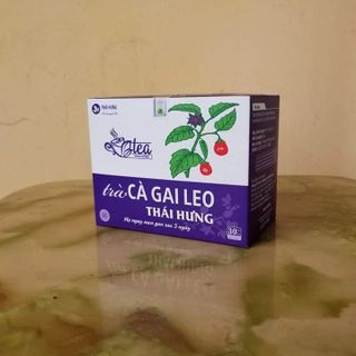 Trà Thái Hưng - Dạng hộp 25 túi lọc cao cấp 2g