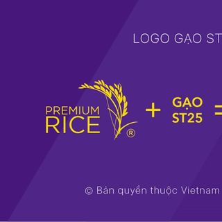 Gạo ngon nhất thế giới gạo ST25 sóc trăng
