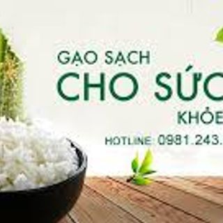 Gạo ngon nhất thế giới gạo ST25 sóc trăng