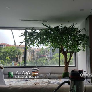Cây lá xanh giả