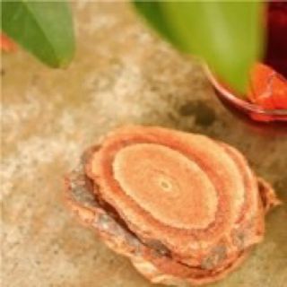Cỏ máu Tâm An Quảng Bình