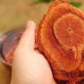 Cỏ máu Tâm An Quảng Bình