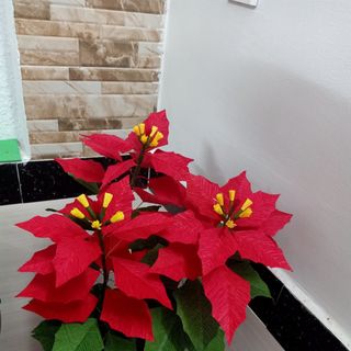 Hoa giấy