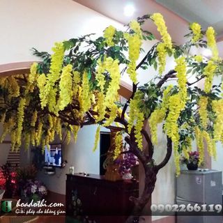 Cây hoa tử đằng giả