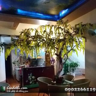Cây hoa tử đằng giả