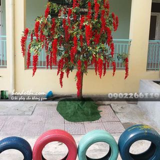 Cây hoa tử đằng giả