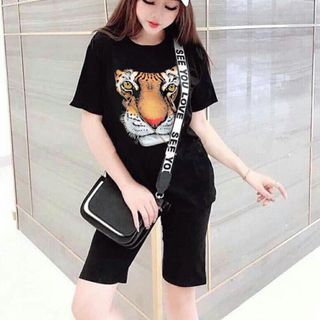 bộ cộc nữ