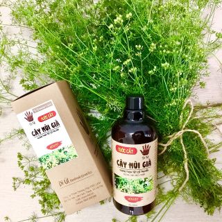 Nước mùi già - Tinh chất cây mùi già tắm tết xông nhà