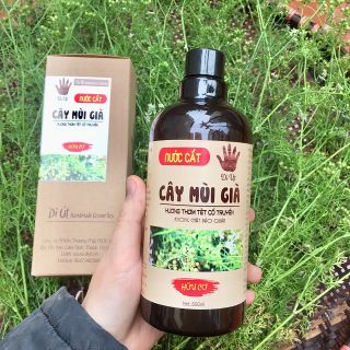 Nước mùi già - Tinh chất cây mùi già tắm tết xông nhà