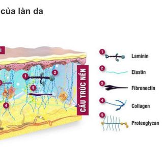kem face đặc trị dưỡng da chuyên sâu ht gold với thành phần ogranic chứng nhận không corticoid
