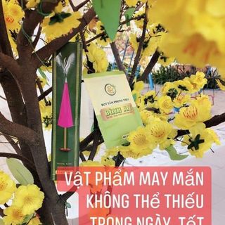 NHANG PHONG THUỶ
