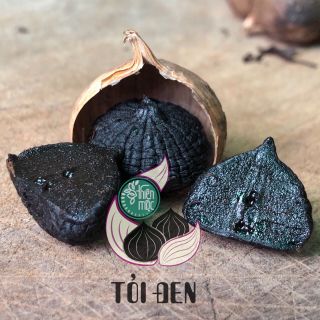 TỎI ĐEN CÔ ĐƠN - THƯỢNG HẠNG