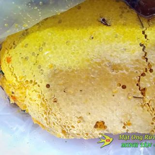 Mật Ong Rừng Thiên Nhiên - Ong Khoái
