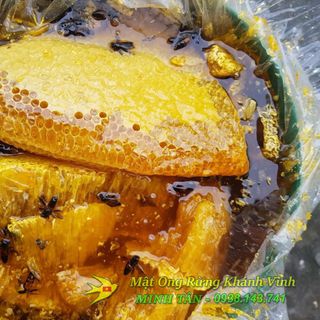 Mật Ong Rừng Thiên Nhiên - Ong Khoái